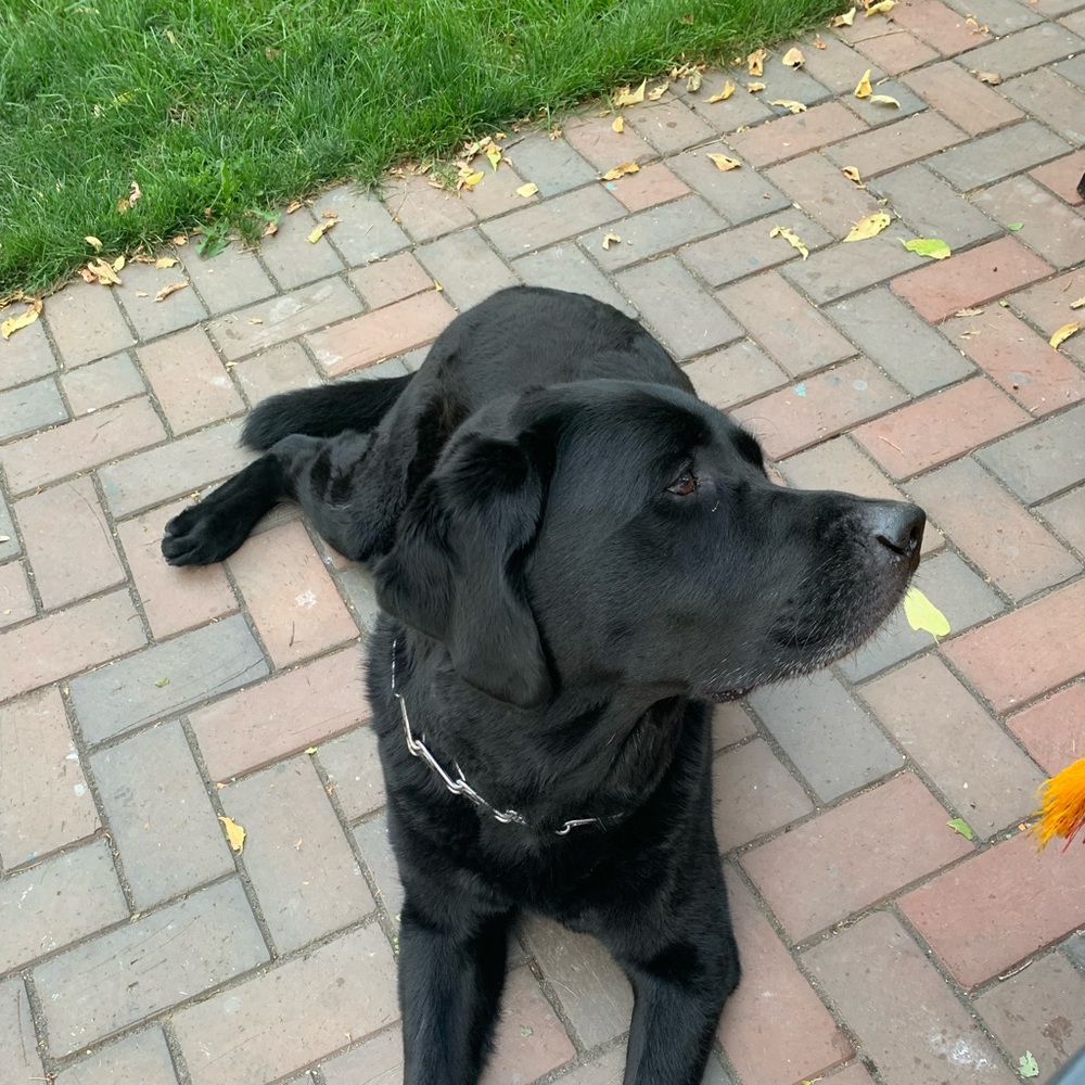 Meet your Posher, Jane